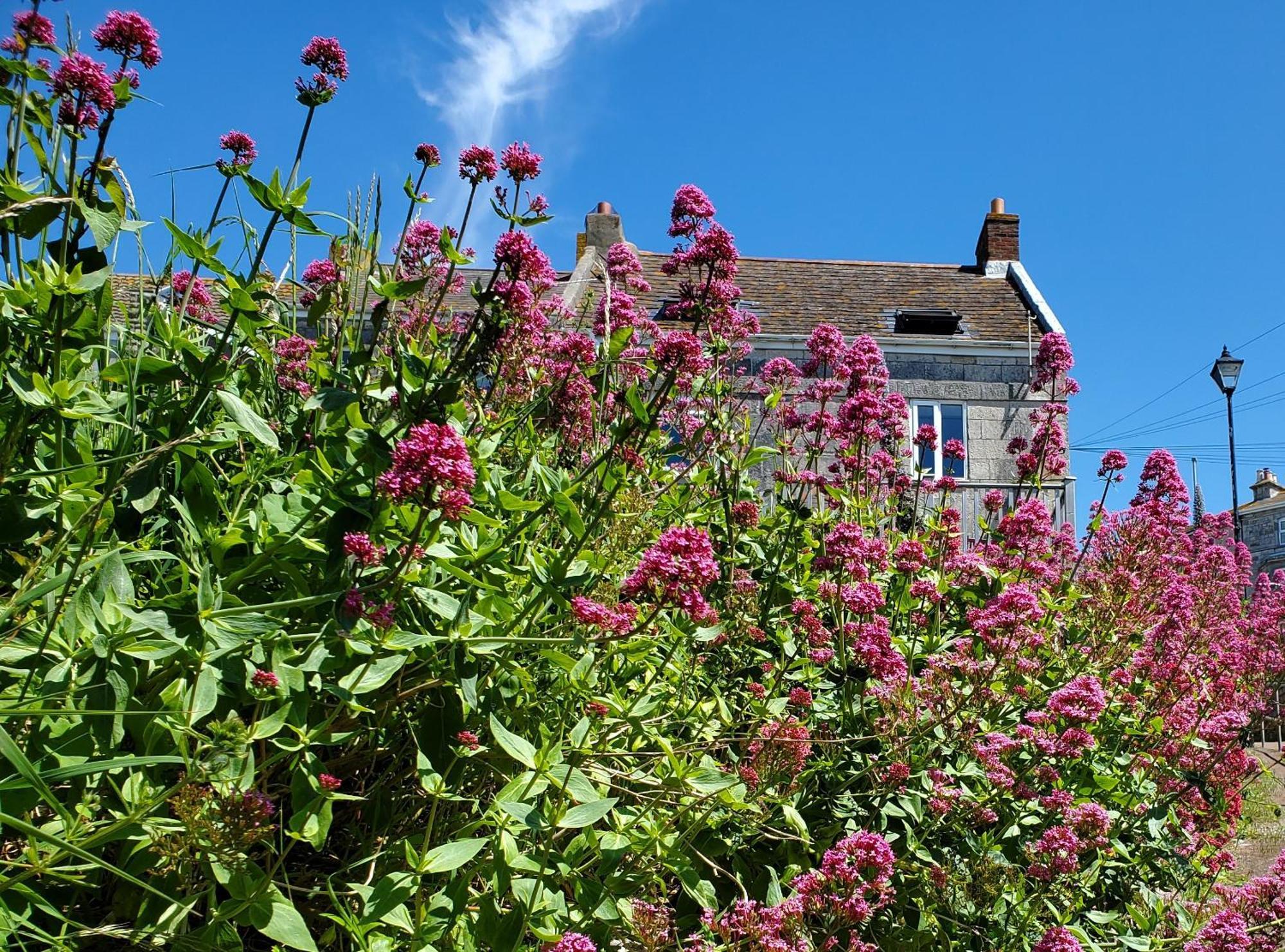 Sea View Cottage Portland Exterior foto